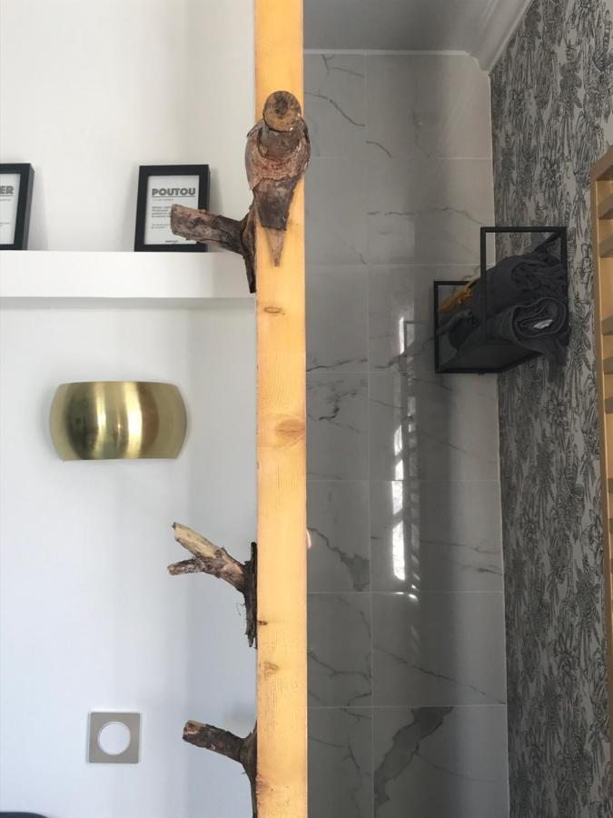 La Loge 45 Au Coeur Du Centre Historique De Rodez Apartment Bagian luar foto